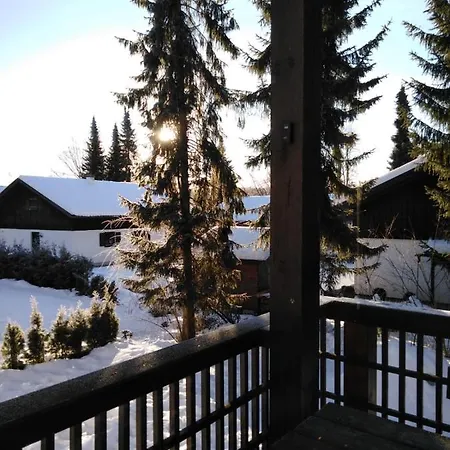 펜션 Bayerischer Wald