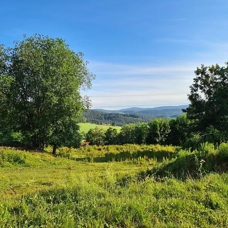 펜션 Bayerischer Wald *