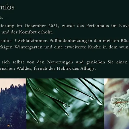 Bayerischer Wald Holiday home Regen