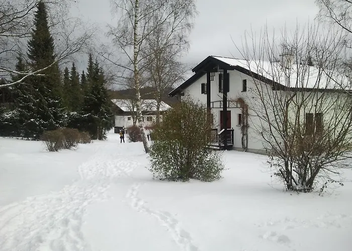 Bayerischer Wald * רוגן